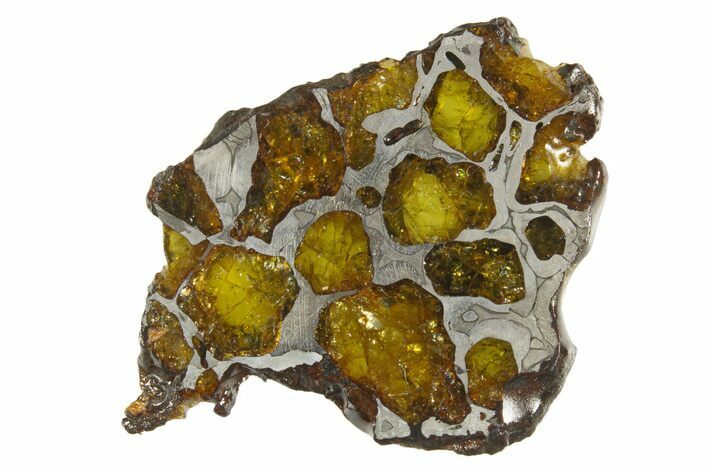Polished Imilac Pallasite Meteorite ( g) Slice #334651